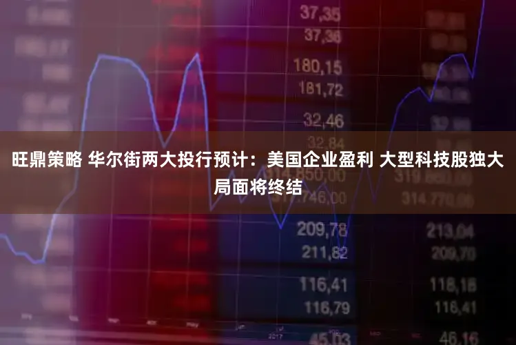 旺鼎策略 华尔街两大投行预计：美国企业盈利 大型科技股独大局面将终结