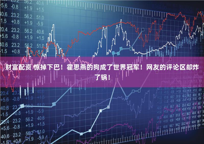 财富配资 惊掉下巴！霍思燕的狗成了世界冠军！网友的评论区却炸了锅！