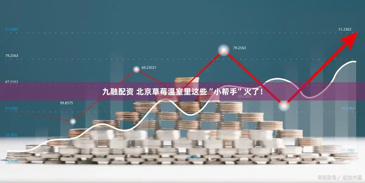 九融配资 北京草莓温室里这些“小帮手”火了！