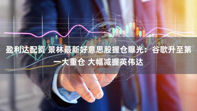 盈利达配资 景林最新好意思股握仓曝光：谷歌升至第一大重仓 大幅减握英伟达