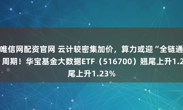 唯信网配资官网 云计较密集加价，算力或迎“全链通胀”周期！华宝基金大数据ETF（516700）翘尾上升1.23%