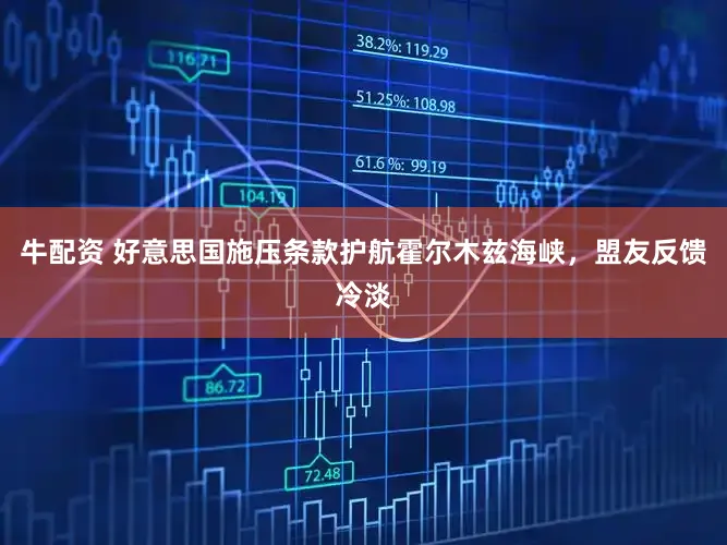 牛配资 好意思国施压条款护航霍尔木兹海峡,盟友反馈冷淡