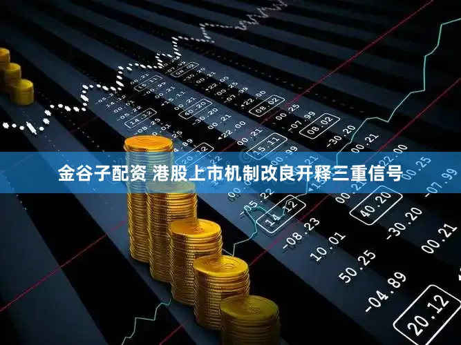 金谷子配资 港股上市机制改良开释三重信号
