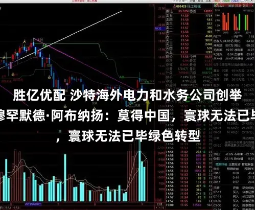 胜亿优配 沙特海外电力和水务公司创举东说念主穆罕默德·阿布纳扬:莫得中国,寰球无法已毕绿色转型