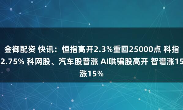 金御配资 快讯：恒指高开2.3%重回25000点 科指涨2.75% 科网股、汽车股普涨 AI哄骗股高开 智谱涨15%
