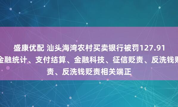 盛康优配 汕头海湾农村买卖银行被罚127.91万元：违背金融统计、支付结算、金融科技、征信贬责、反洗钱贬责相关端正