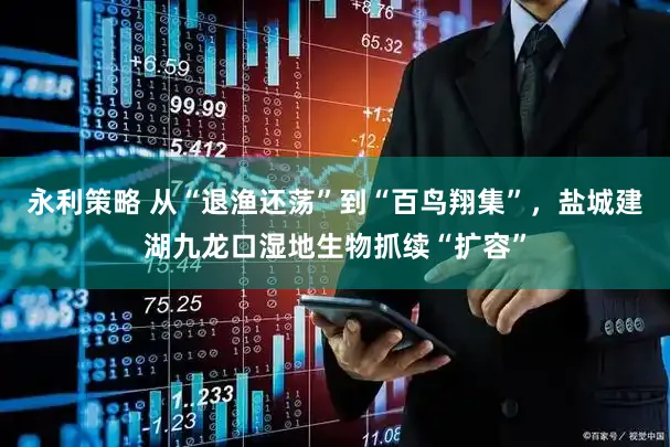 永利策略 从“退渔还荡”到“百鸟翔集”，盐城建湖九龙口湿地生物抓续“扩容”