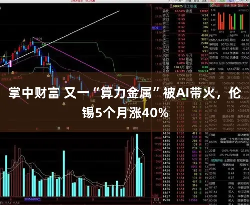 掌中财富 又一“算力金属”被AI带火，伦锡5个月涨40%